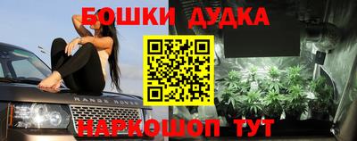 мдпв Донской
