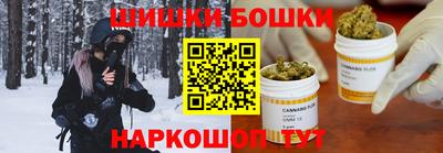 дмт Дубна